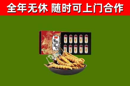 泗阳回收冬虫夏草价格